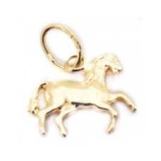 KR22 Eponan hevonen - Kultariipus